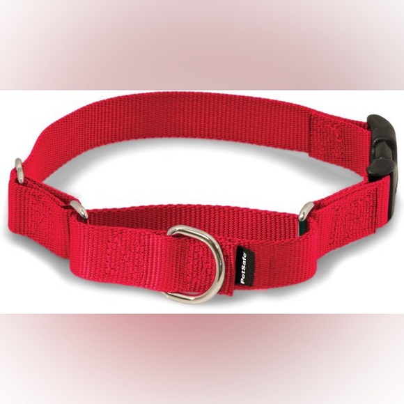 PetSafe Dog Petsafe Quick Snap Buckle Nylon Martingale Dog Collar Large Poshmark